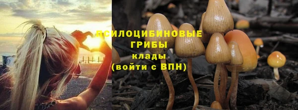 гашиш Алексеевка