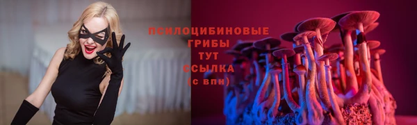 2c-b Абаза