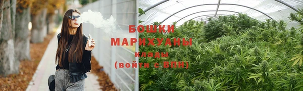 молекула духа Покров
