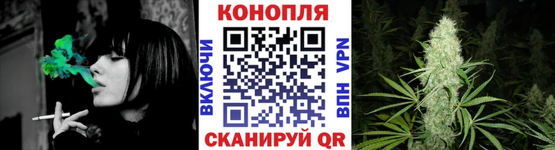 hydra как зайти  купить наркотики сайты  Инза  Шишки марихуана сатива 